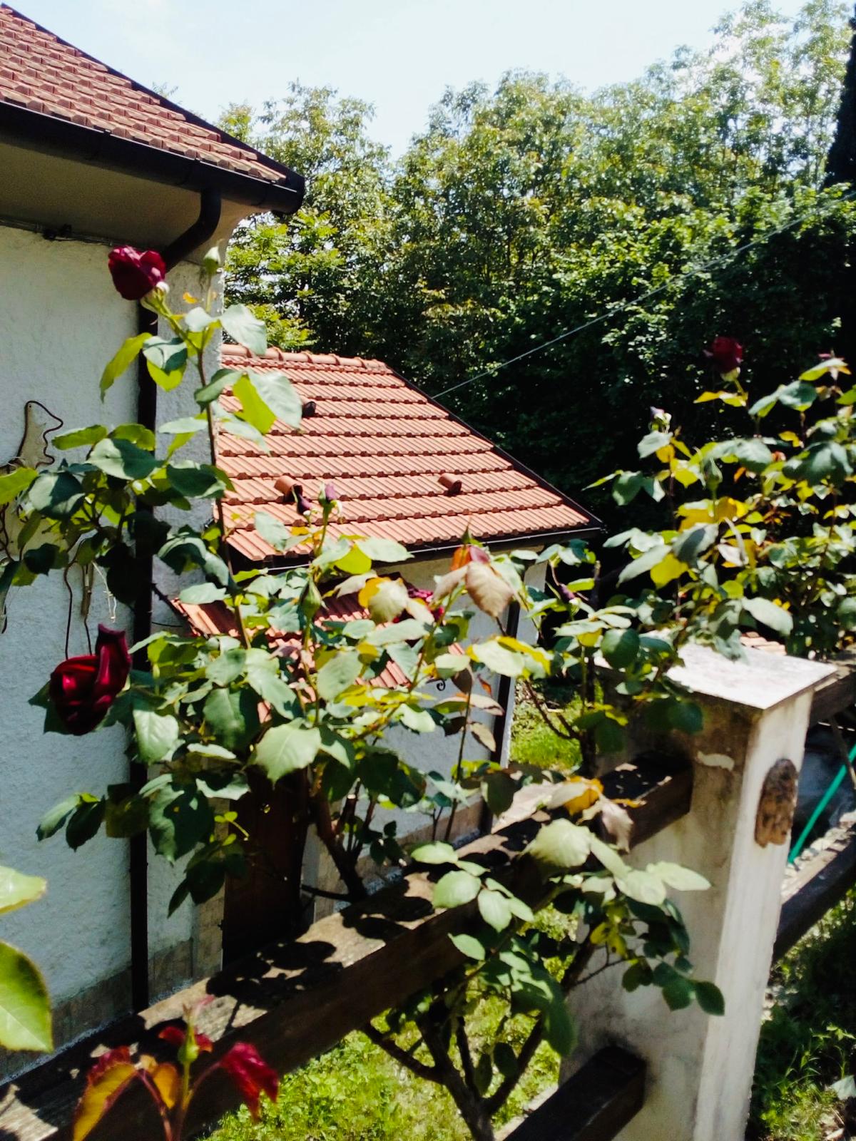 Vendita Semindipendente Porzione di casa a Tresana,  (MS) - A515