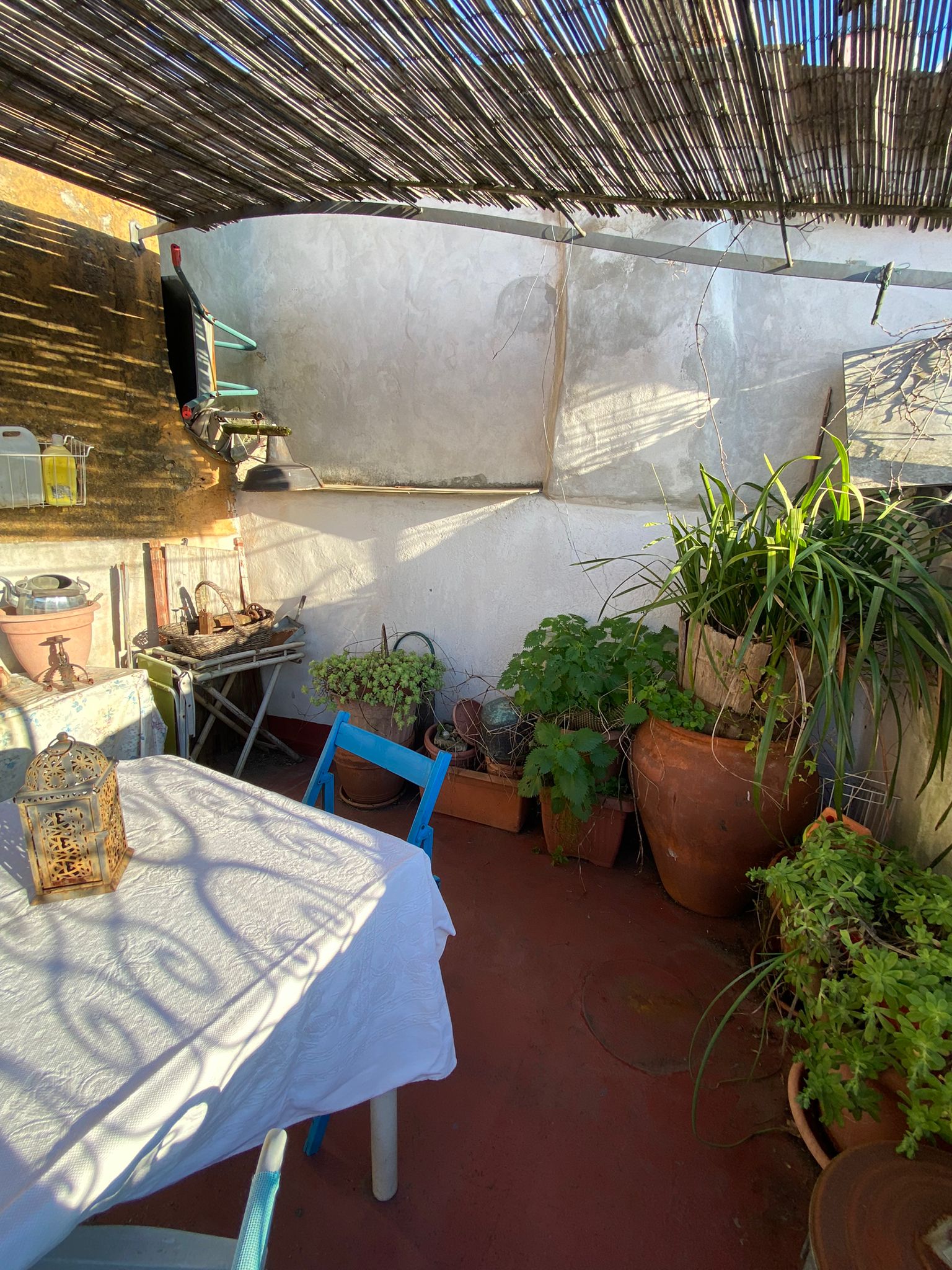 Terratetto con terrazza panoramica 