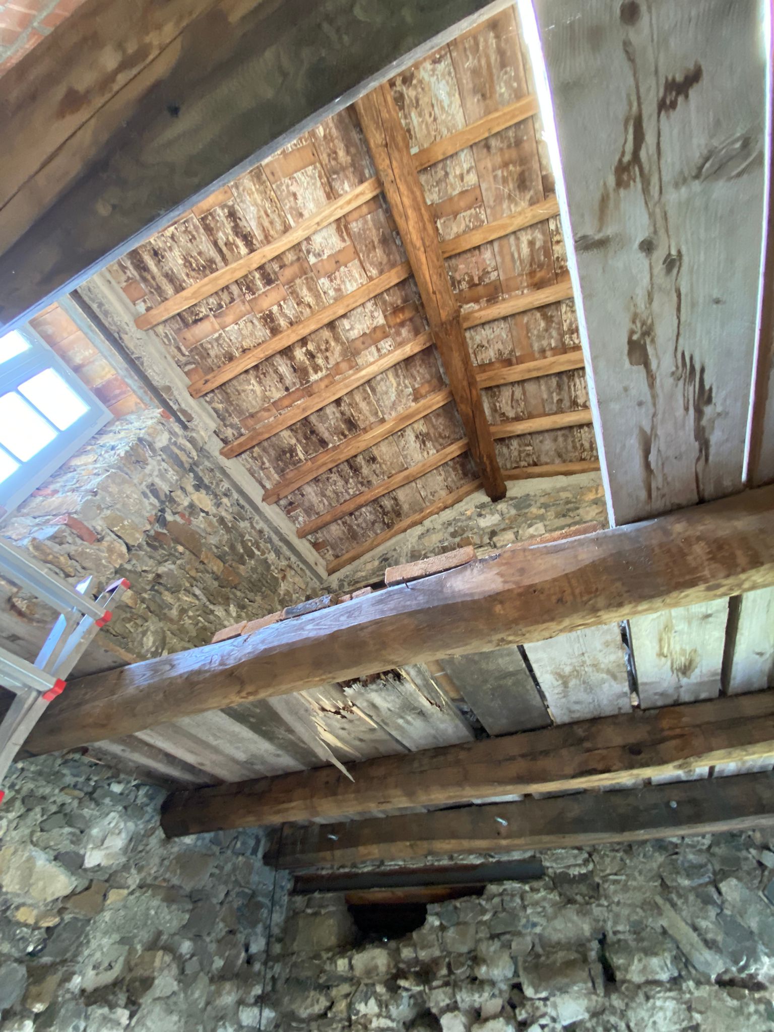 Semindipendente in sasso