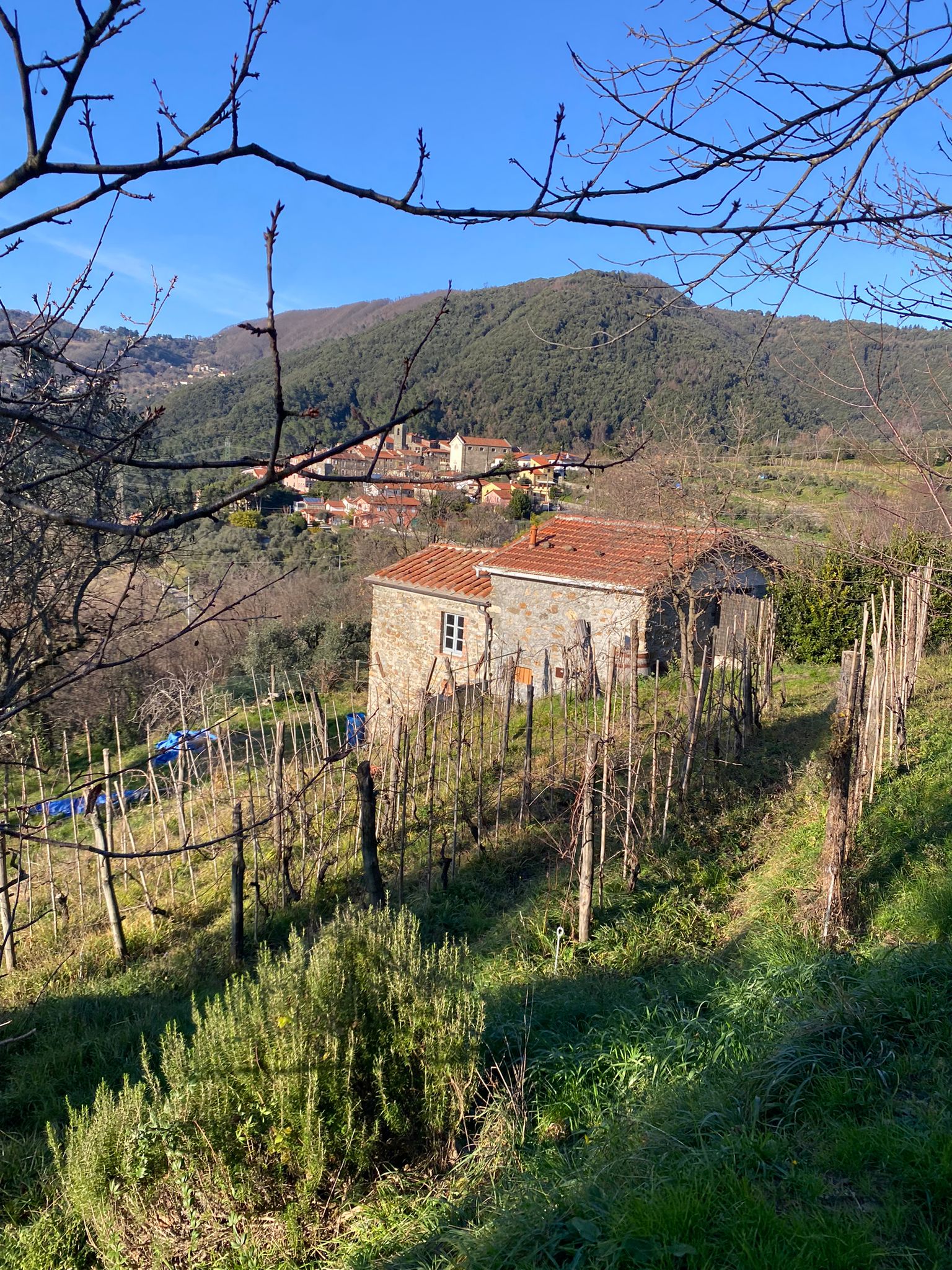 Semindipendente in sasso