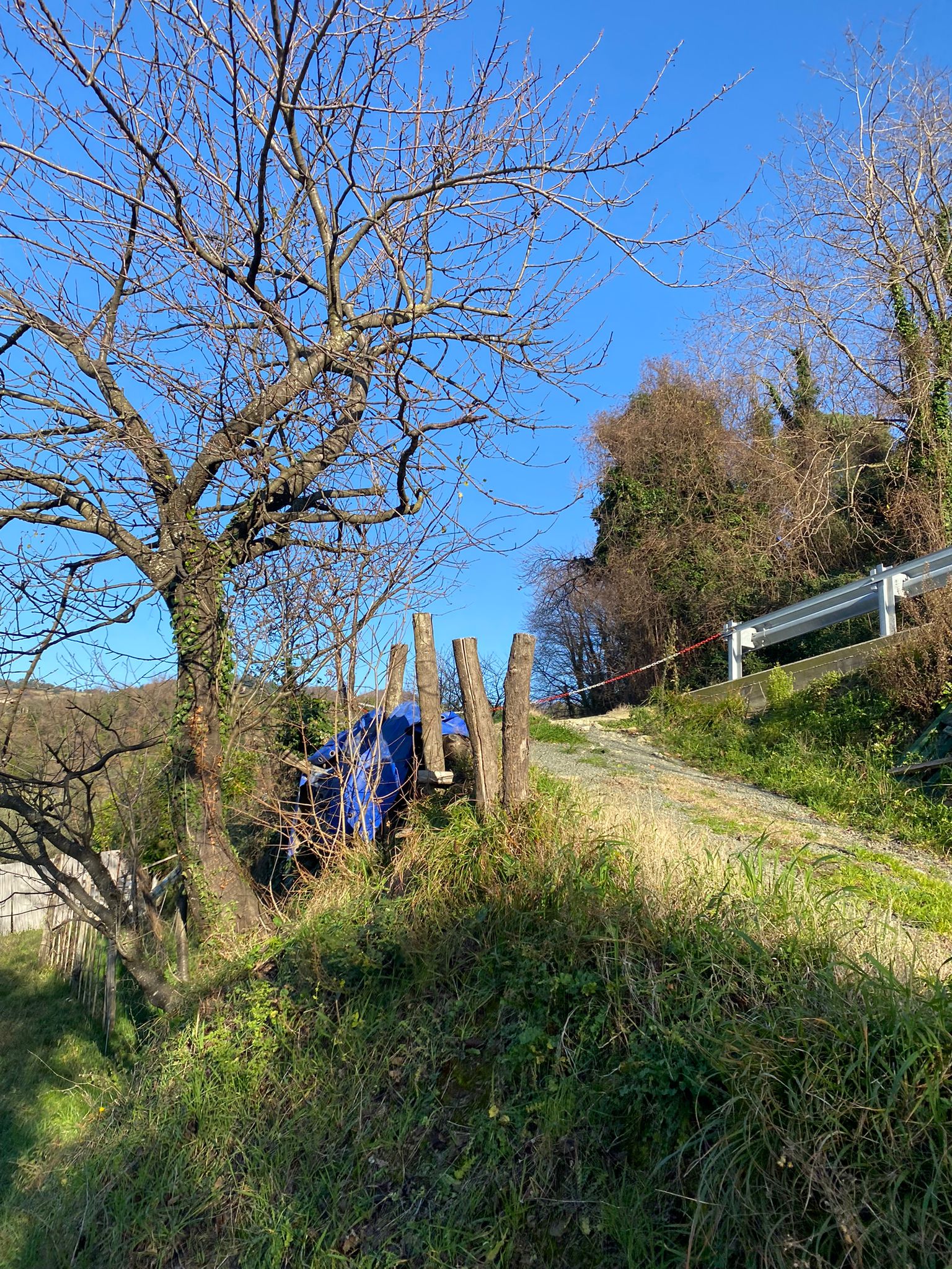 Semindipendente in sasso