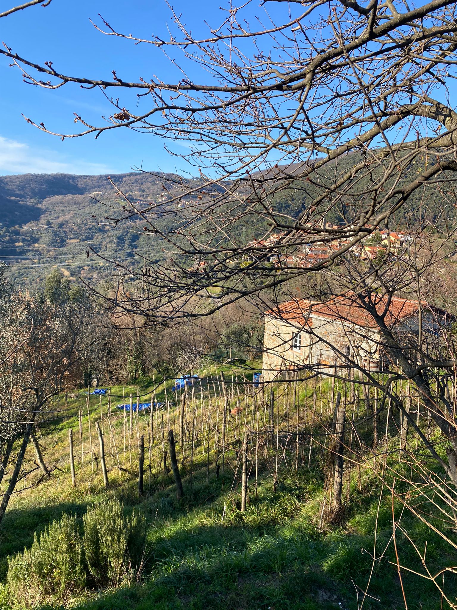 Semindipendente in sasso