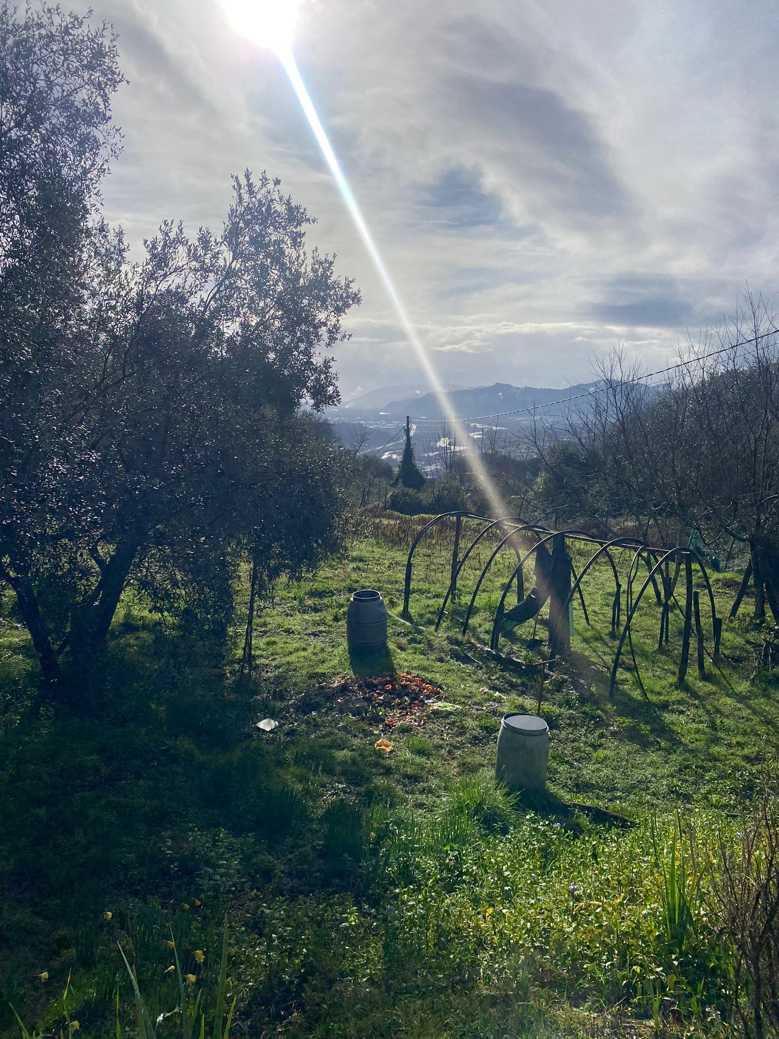Indipendente con terreno, ulivi e vista mare – 15 min da Follo