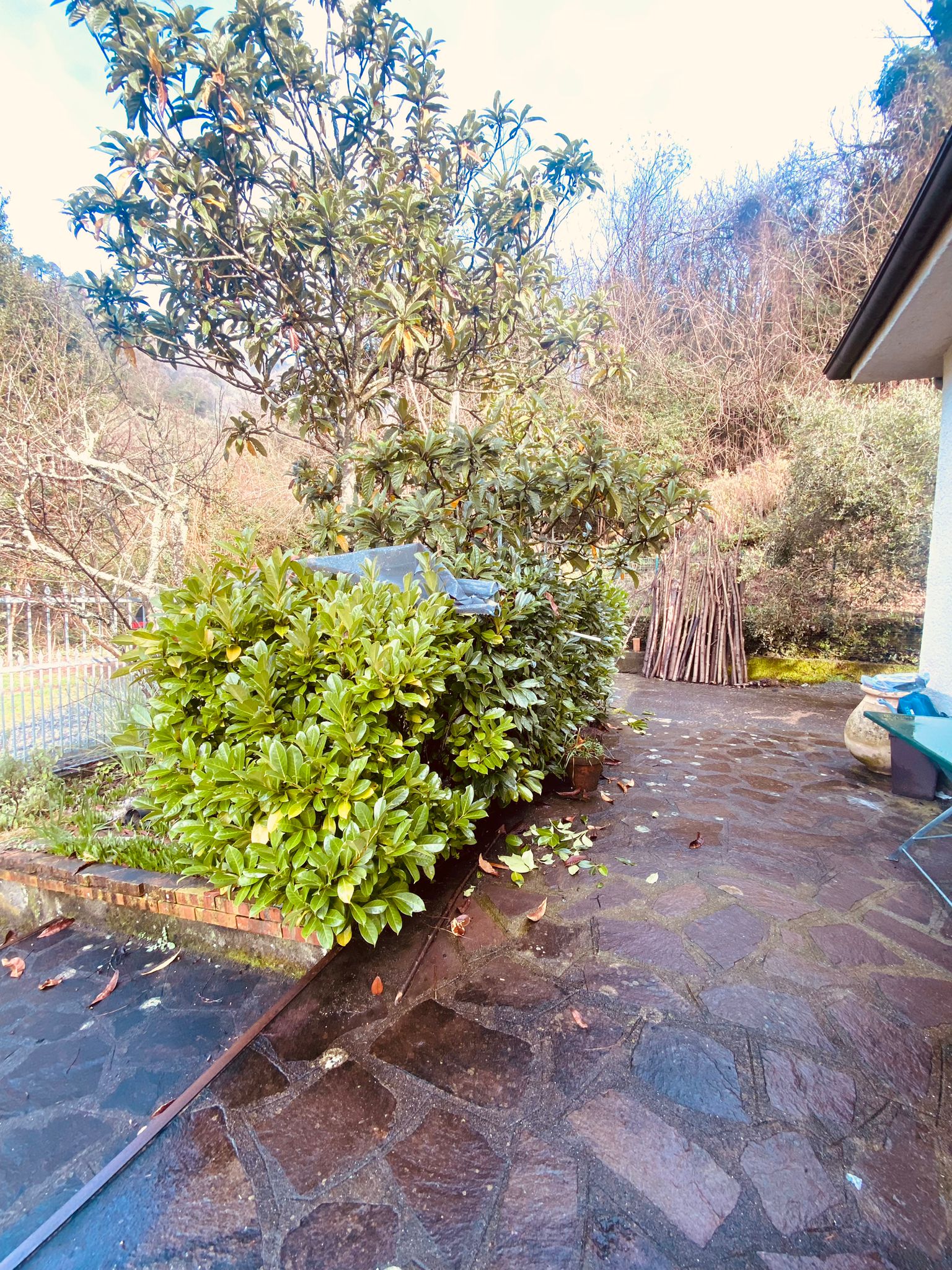 Indipendente con terreno, ulivi e vista mare – 15 min da Follo