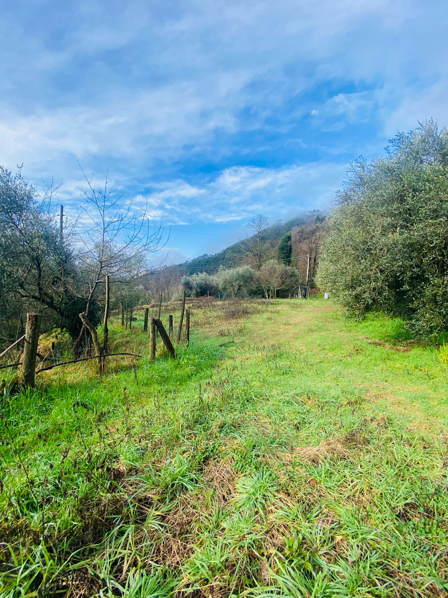Indipendente con terreno, ulivi e vista mare – 15 min da Follo