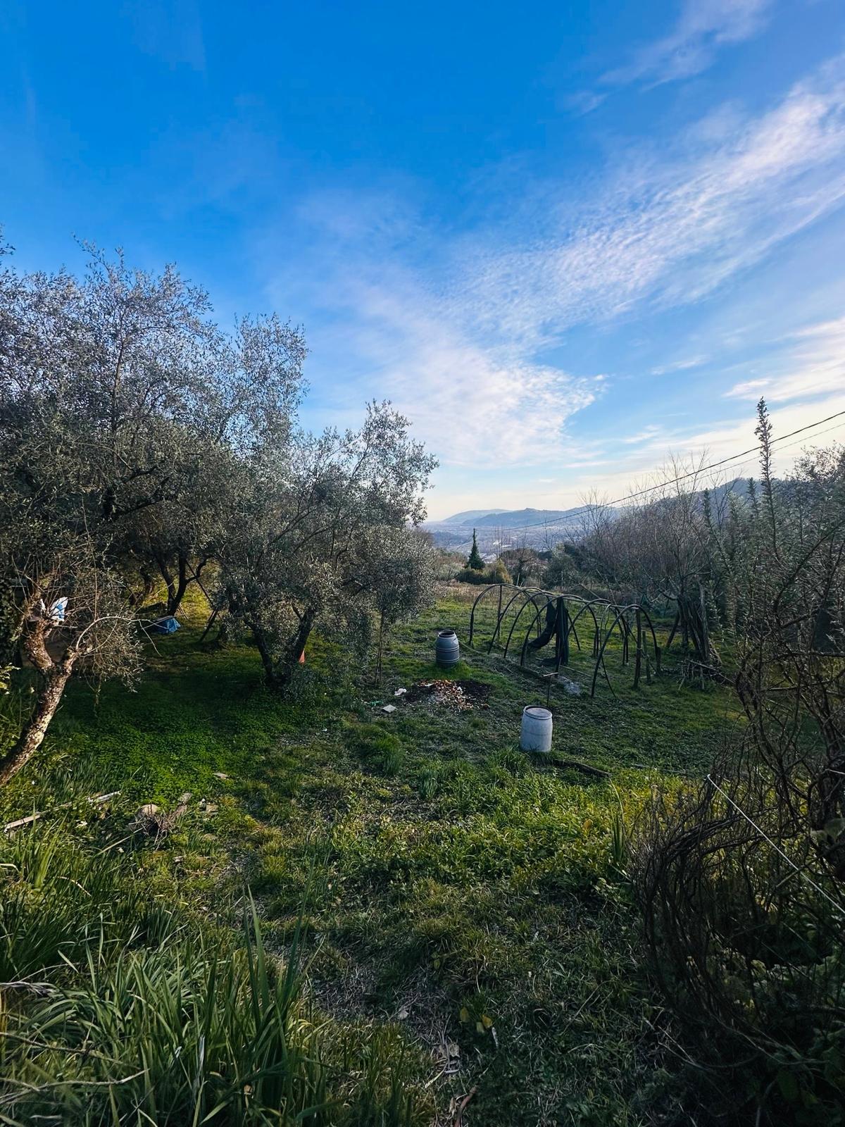 Indipendente con terreno, ulivi e vista mare – 15 min da Follo
