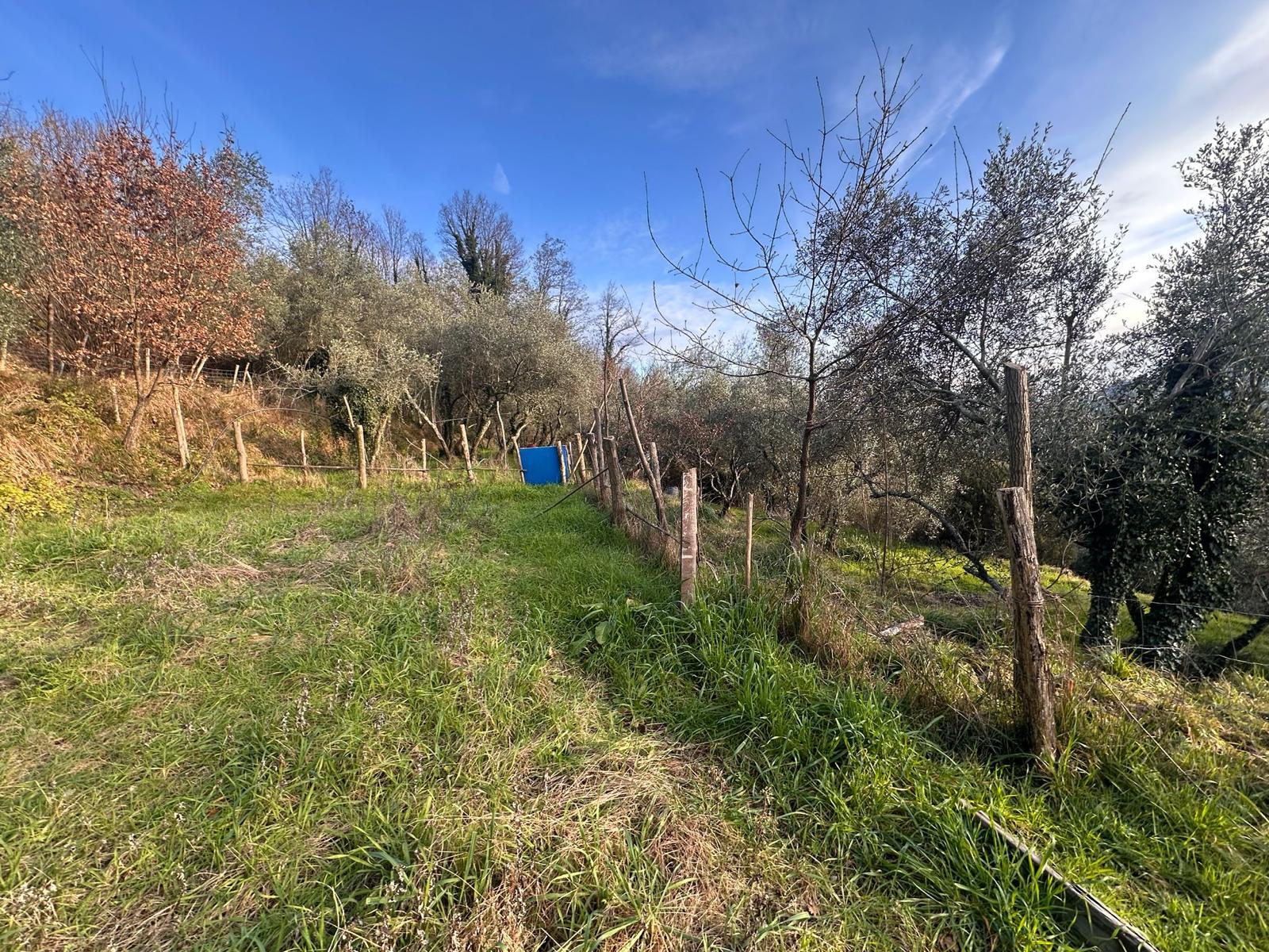 Indipendente con terreno, ulivi e vista mare – 15 min da Follo