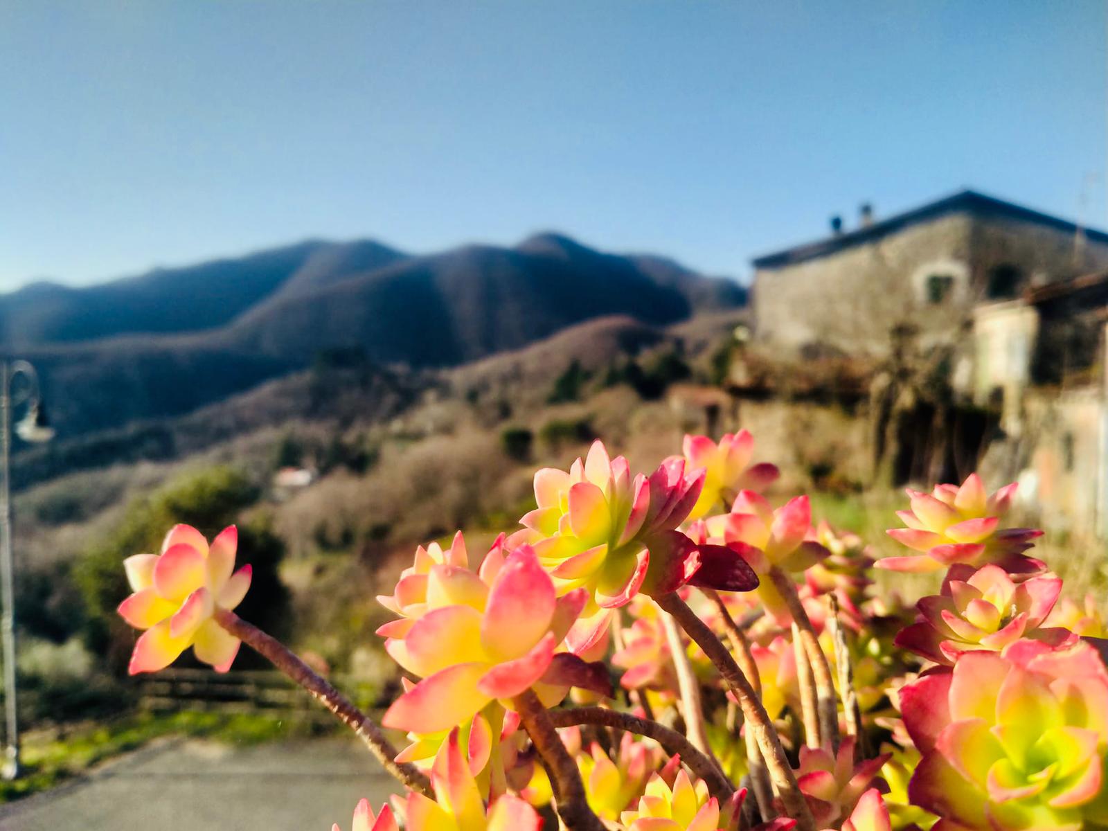 Casa indipendente con terrazze e giardino nel borgo di Pulica , Lunigiana – a 25 minuti dal mare