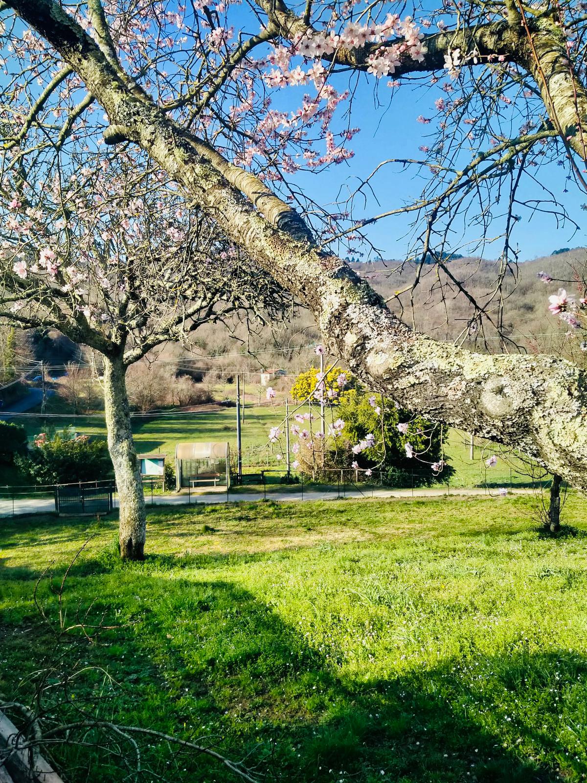 Casa indipendente con terrazze e giardino nel borgo di Pulica , Lunigiana – a 25 minuti dal mare