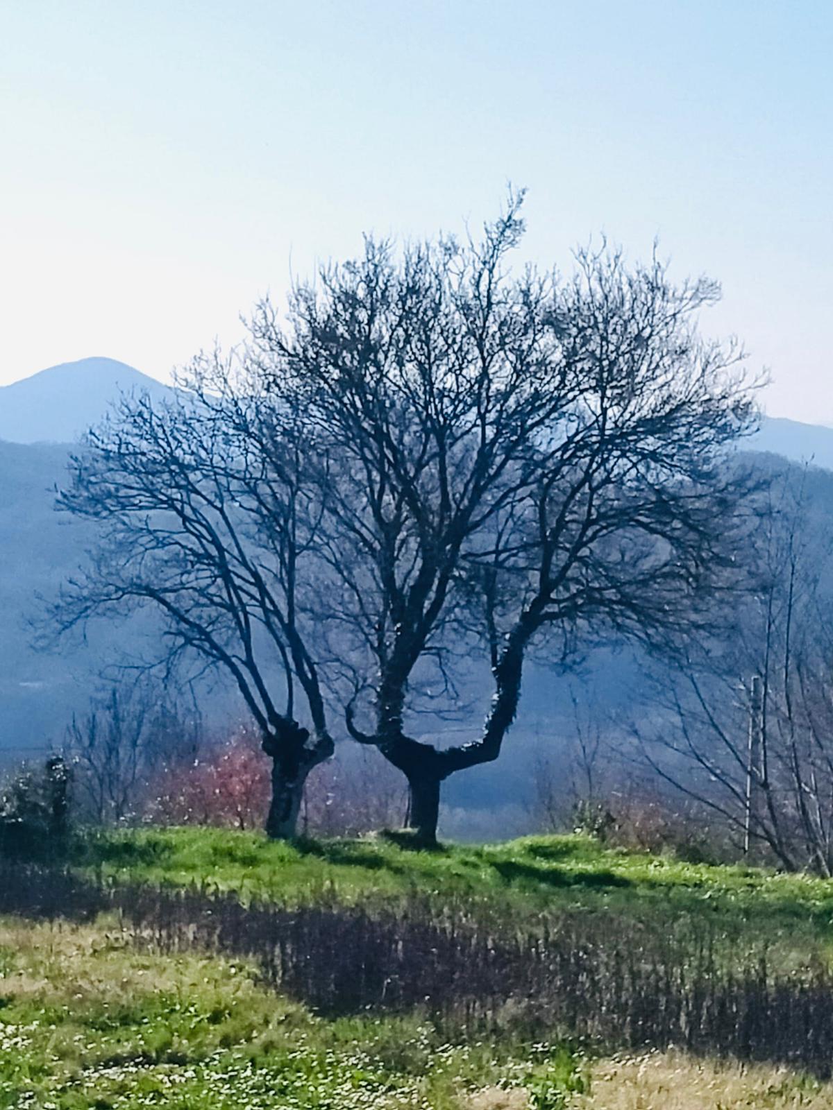 Affascinante casa di borgo con camino e vista sulle valli della Lunigiana
