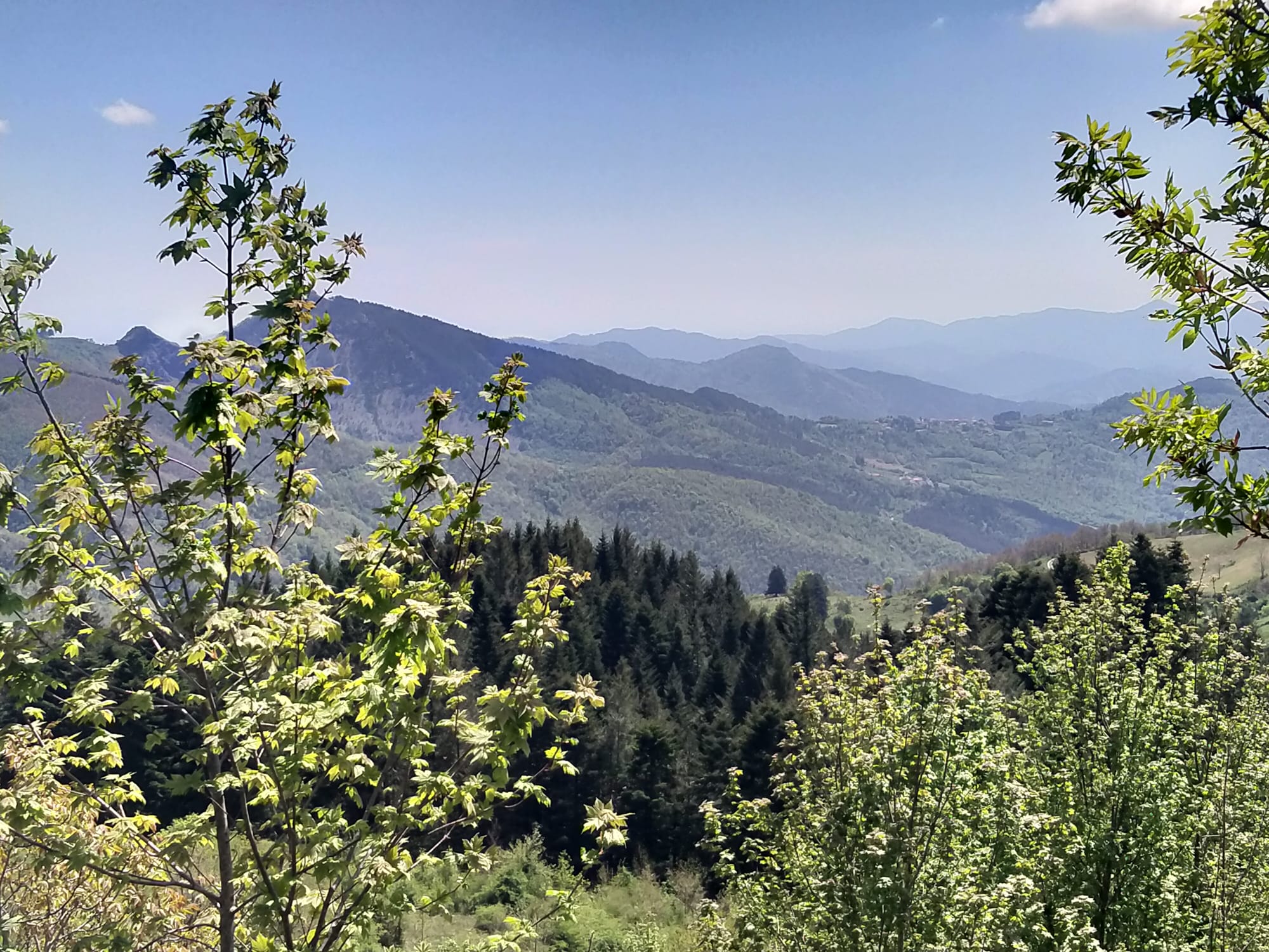 TORPIANA – ALTA VAL DI VARA Una casa felice immersa nella natura