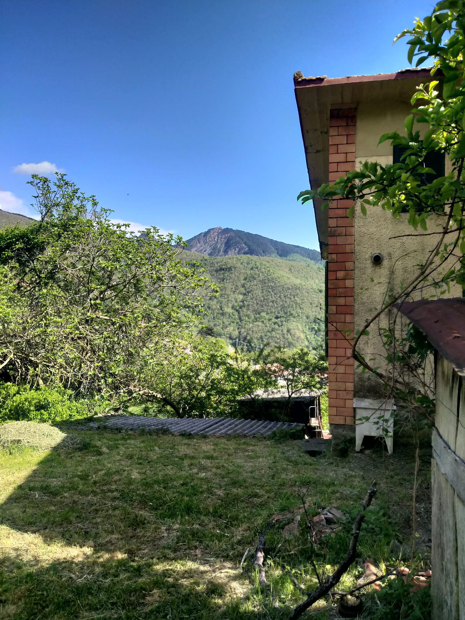 TORPIANA – ALTA VAL DI VARA Una casa felice immersa nella natura