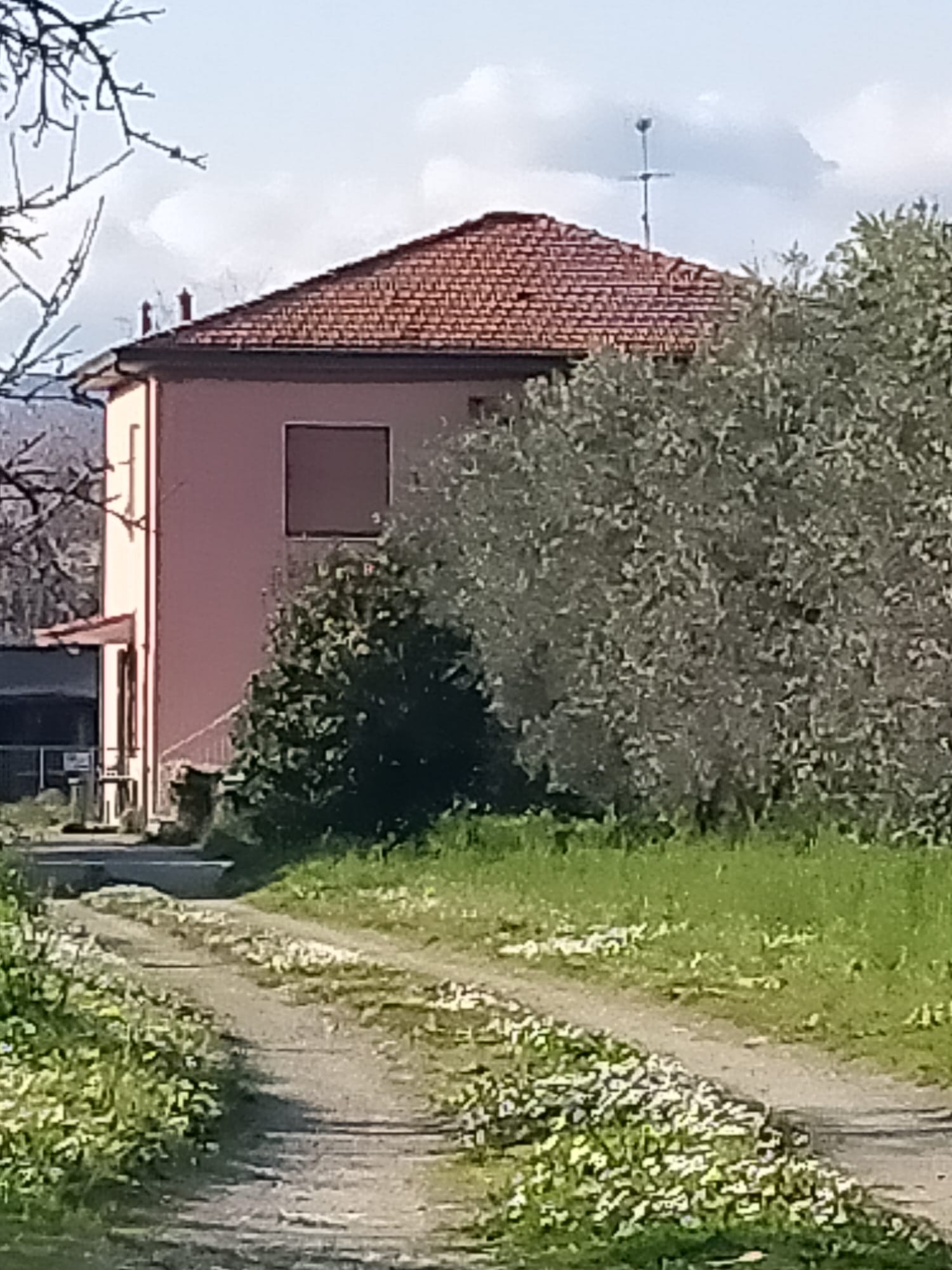 Una casa nella campagna più autentica tra Sarzana e Marinella 