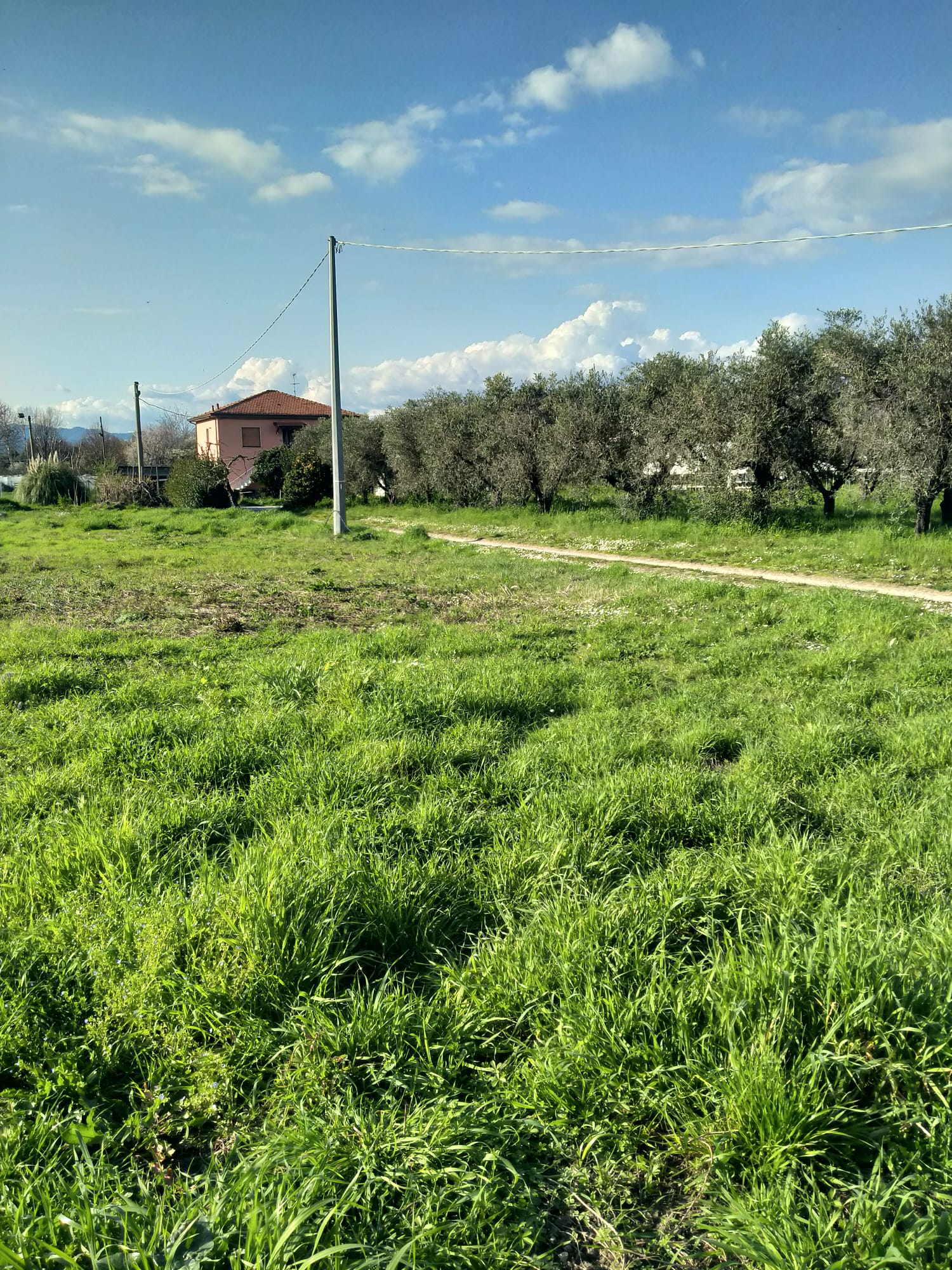 Una casa nella campagna più autentica tra Sarzana e Marinella 