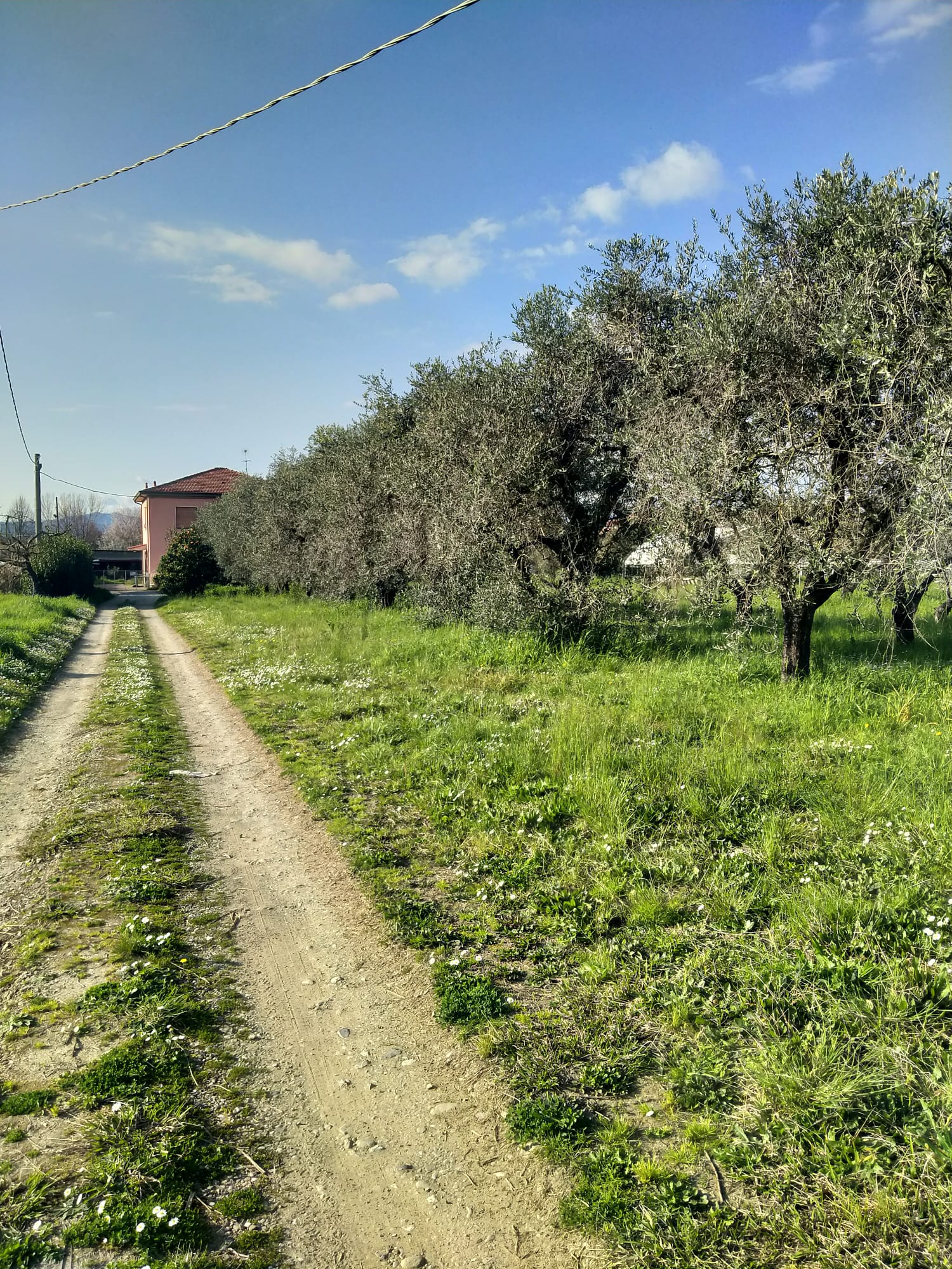 Una casa nella campagna più autentica tra Sarzana e Marinella 