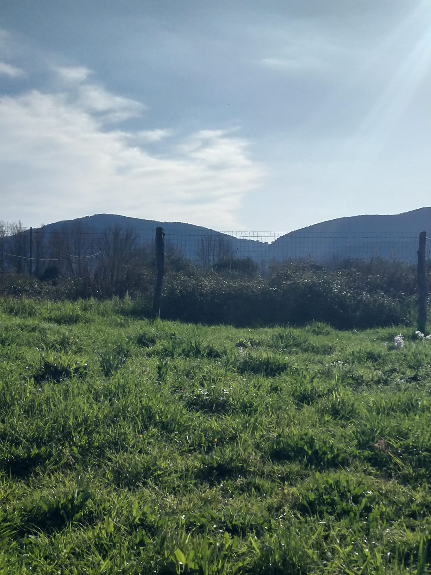 Una casa nella campagna più autentica tra Sarzana e Marinella 
