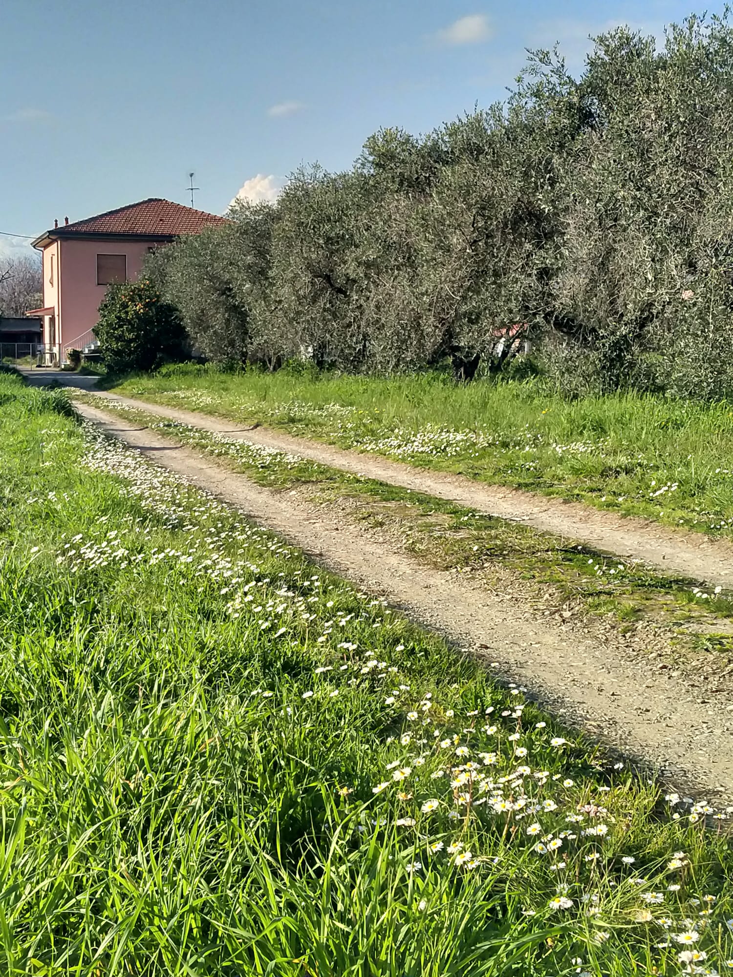 Una casa nella campagna più autentica tra Sarzana e Marinella 