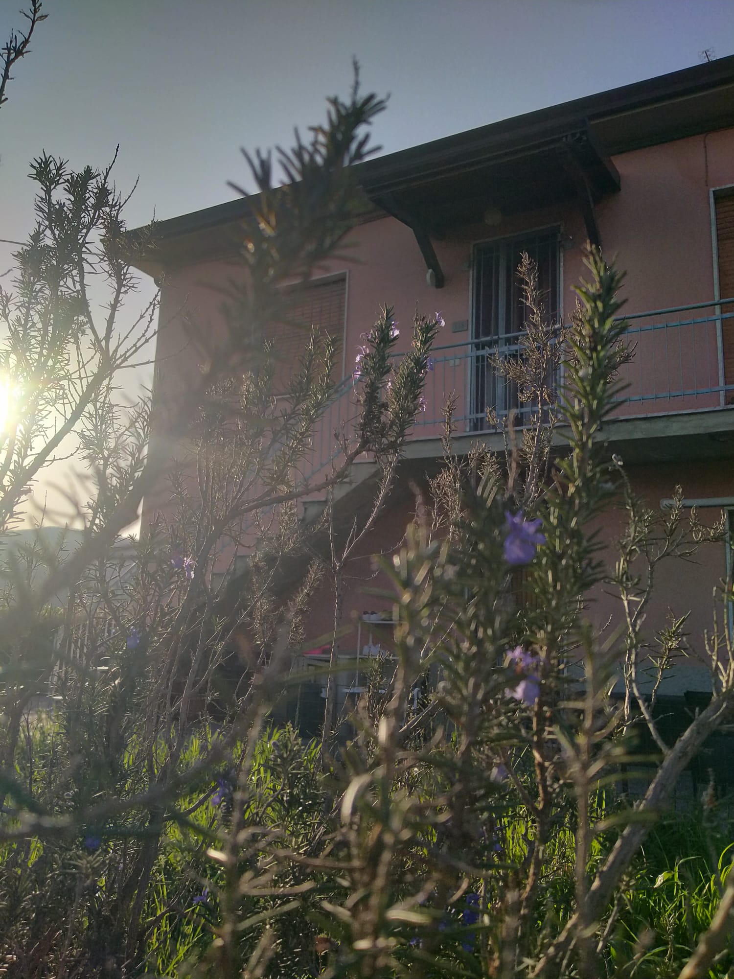 Una casa nella campagna più autentica tra Sarzana e Marinella 
