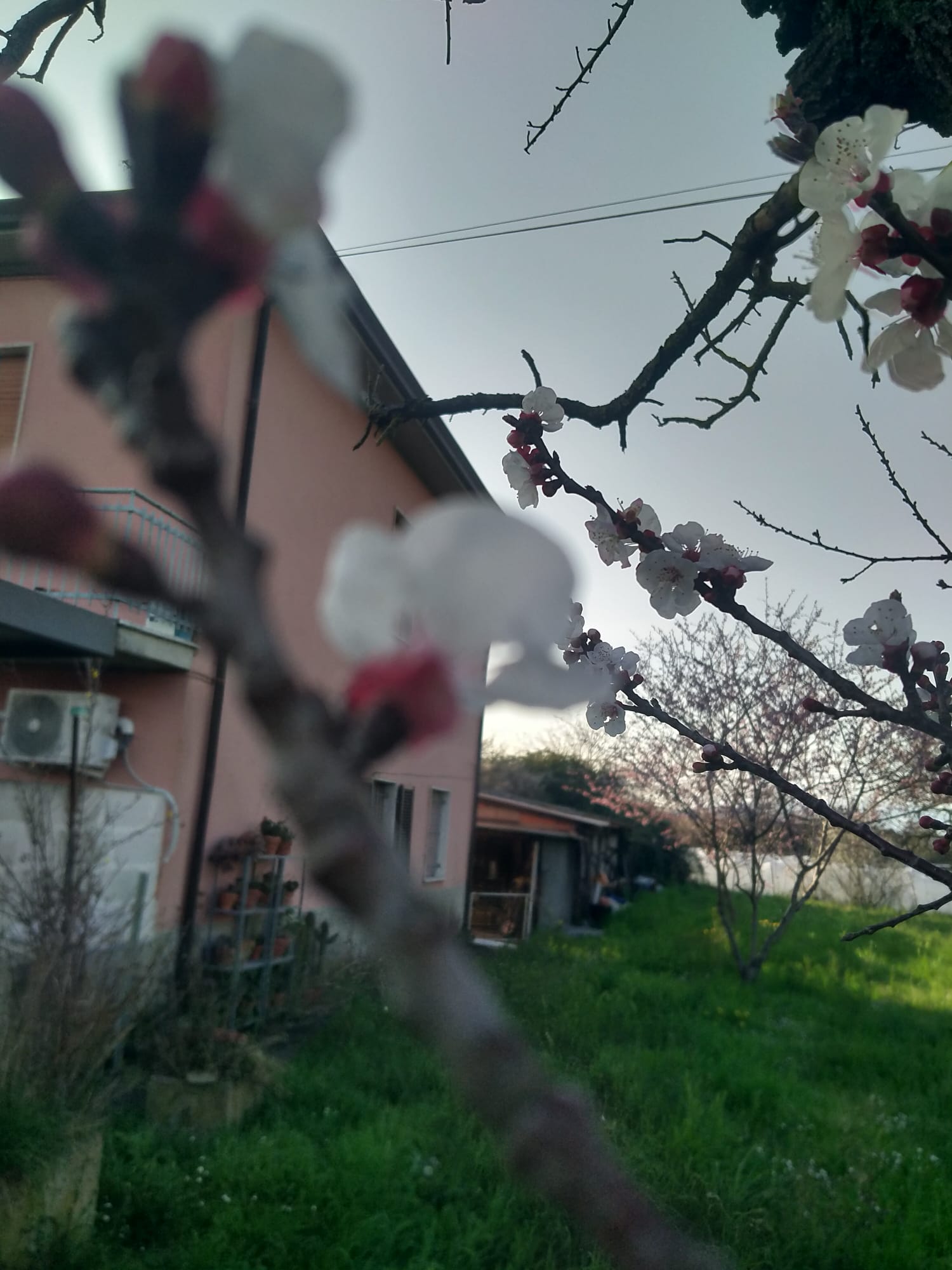 Una casa nella campagna più autentica tra Sarzana e Marinella 