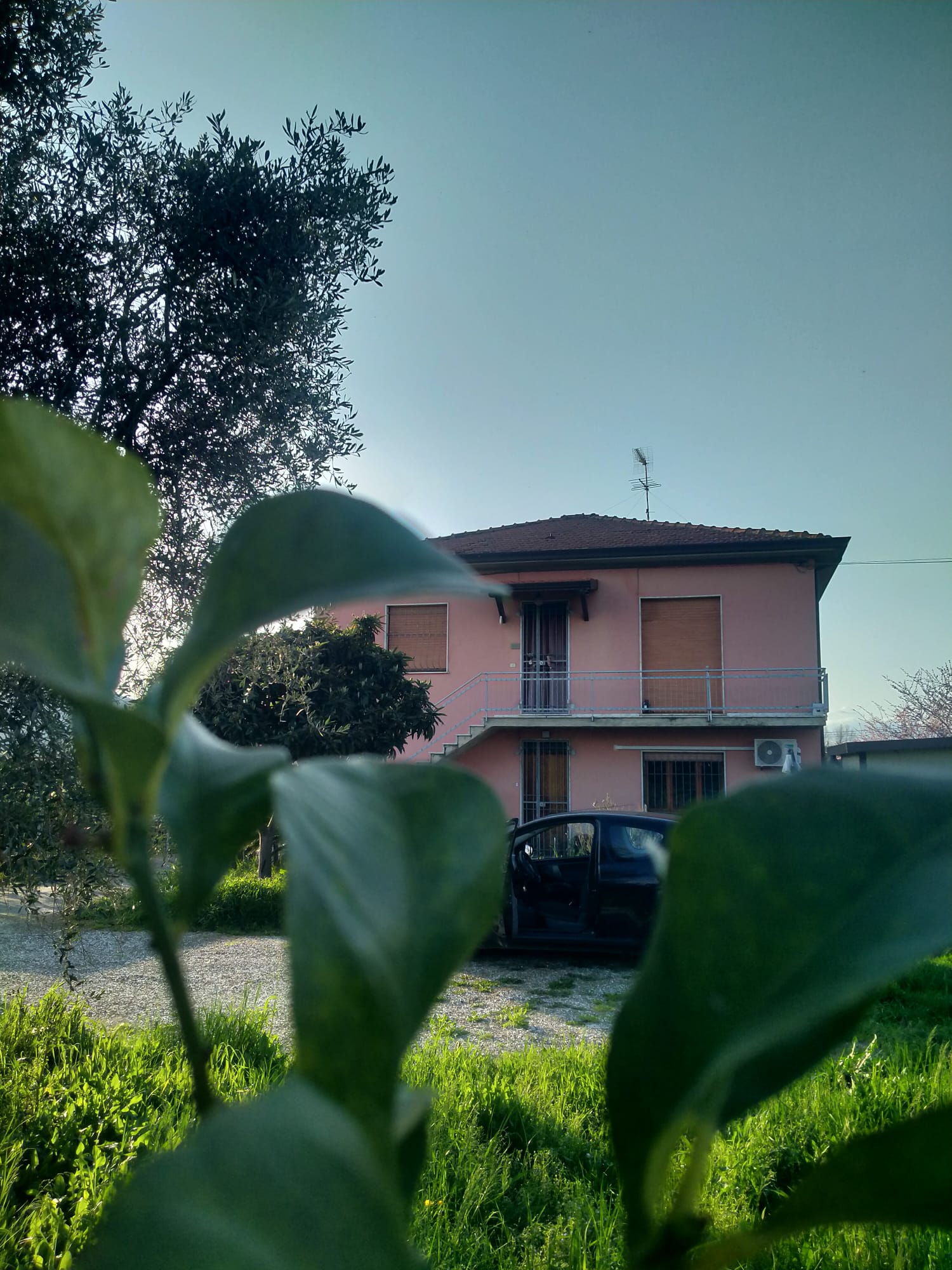 Una casa nella campagna più autentica tra Sarzana e Marinella 